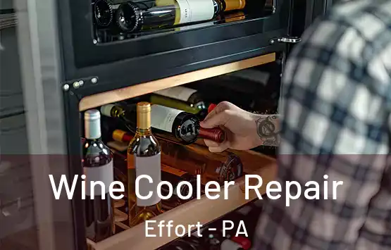  Wine Cooler Repair Effort - PA