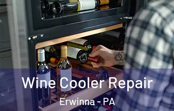  Wine Cooler Repair Erwinna - PA
