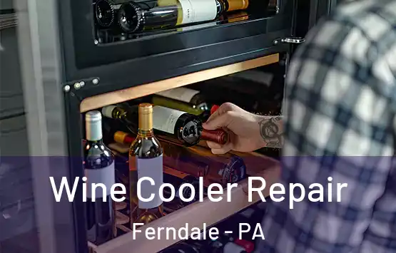  Wine Cooler Repair Ferndale - PA