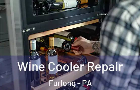  Wine Cooler Repair Furlong - PA
