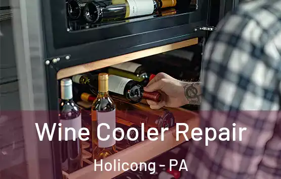  Wine Cooler Repair Holicong - PA