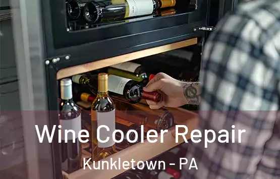  Wine Cooler Repair Kunkletown - PA