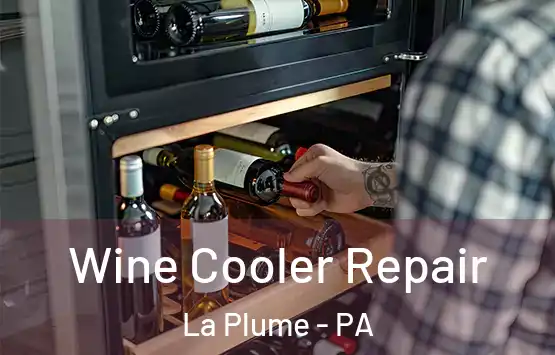  Wine Cooler Repair La Plume - PA