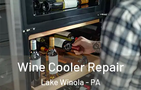  Wine Cooler Repair Lake Winola - PA