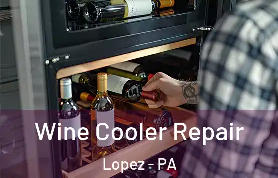  Wine Cooler Repair Lopez - PA