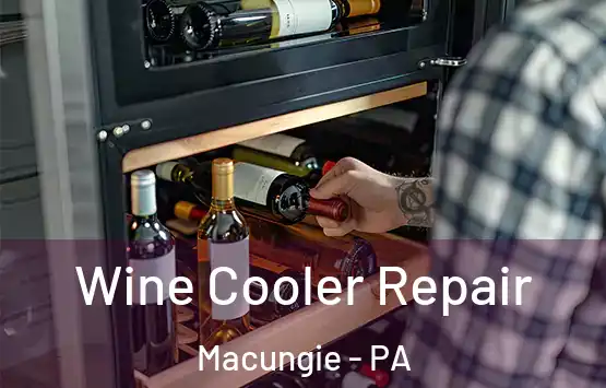  Wine Cooler Repair Macungie - PA