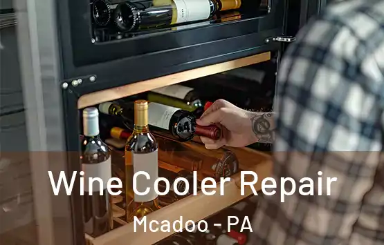  Wine Cooler Repair Mcadoo - PA