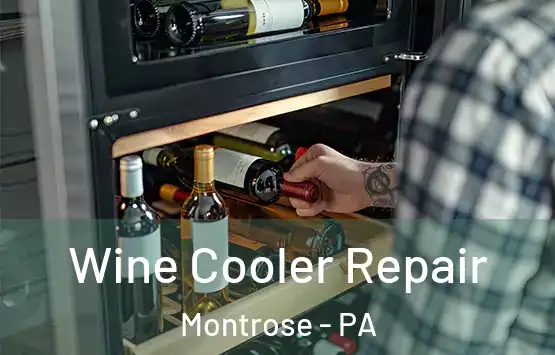  Wine Cooler Repair Montrose - PA