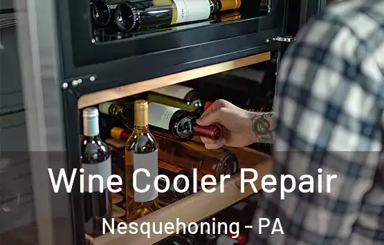  Wine Cooler Repair Nesquehoning - PA