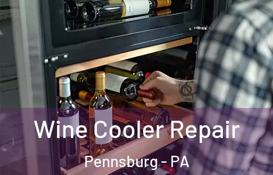  Wine Cooler Repair Pennsburg - PA