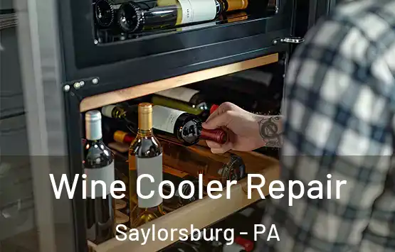  Wine Cooler Repair Saylorsburg - PA