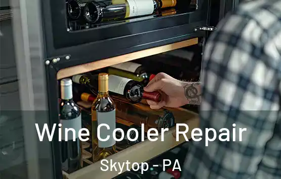  Wine Cooler Repair Skytop - PA