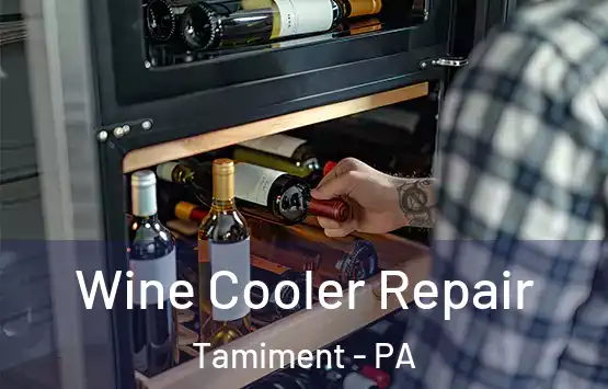  Wine Cooler Repair Tamiment - PA