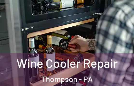  Wine Cooler Repair Thompson - PA