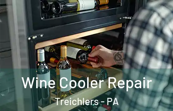  Wine Cooler Repair Treichlers - PA