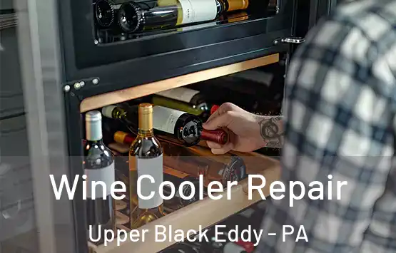  Wine Cooler Repair Upper Black Eddy - PA