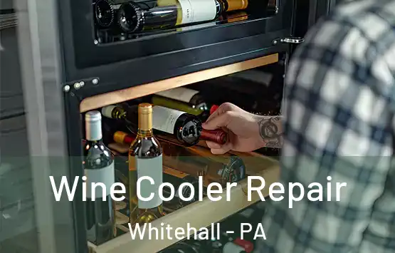  Wine Cooler Repair Whitehall - PA