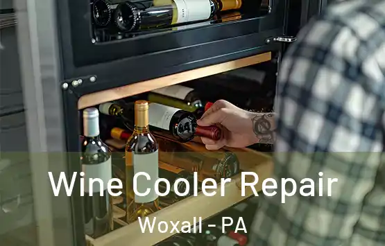  Wine Cooler Repair Woxall - PA